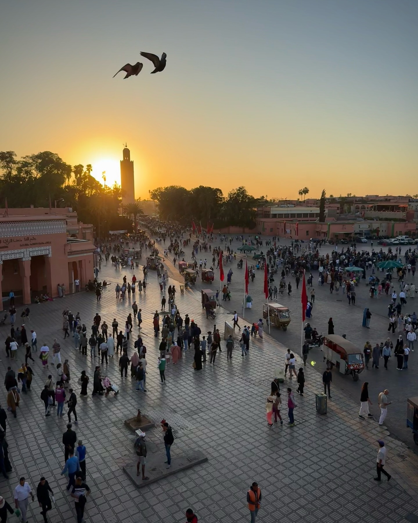 Circuit Trek & Immersion dans les Montagnes de l’Atlas : Aventure Authentique au Cœur du Maroc Berbère
